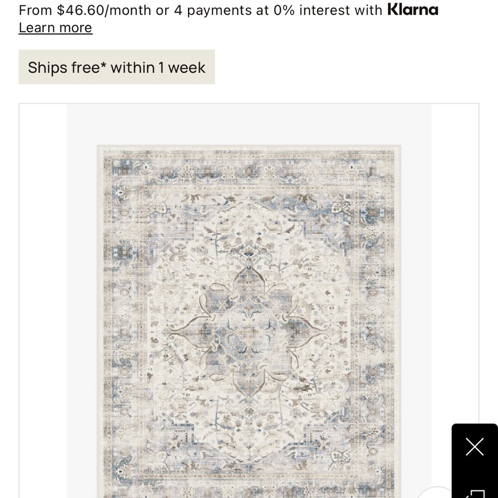 Elegant Beige and Blue Area Rug